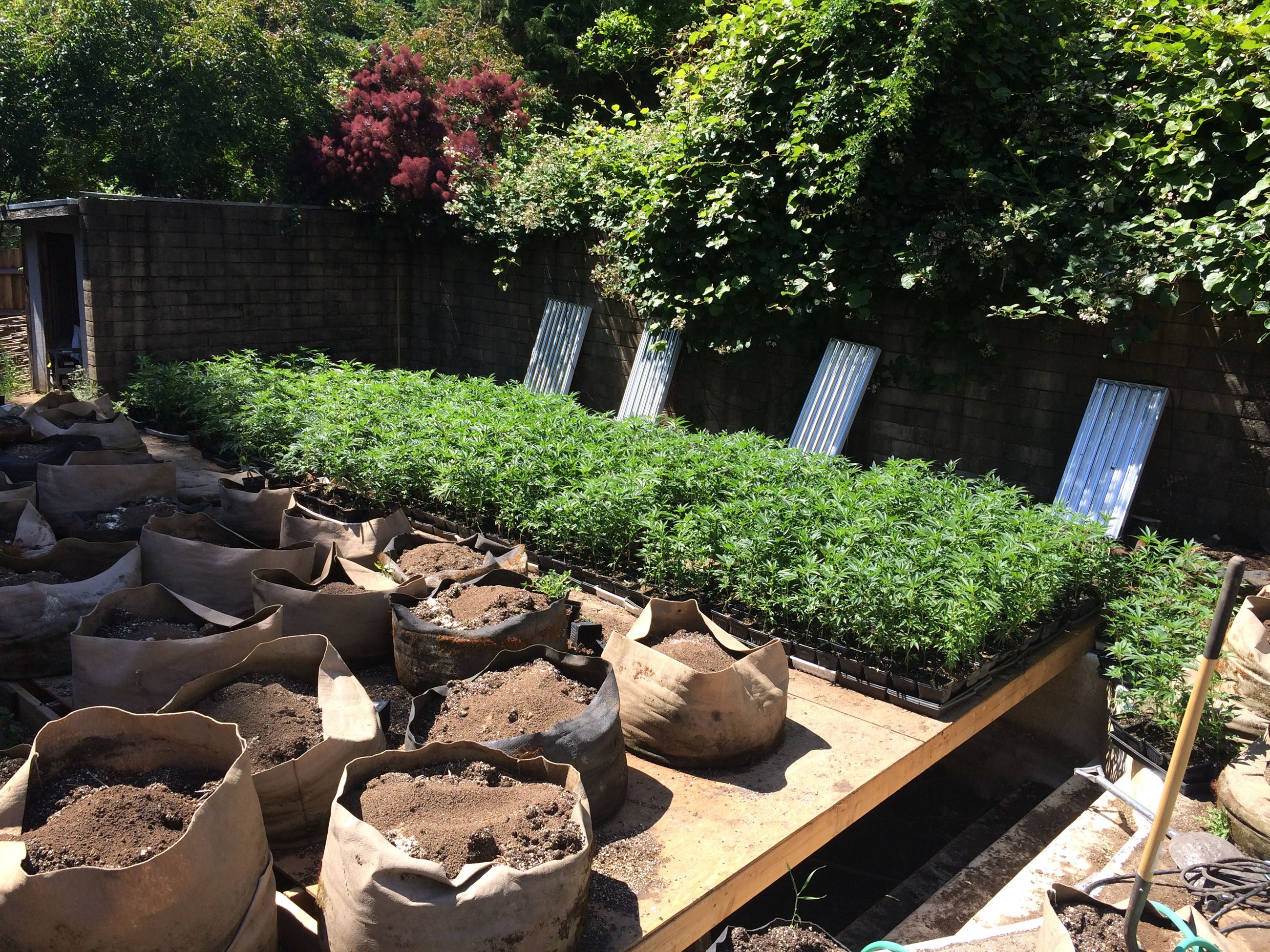 Hash Lab - 201602608